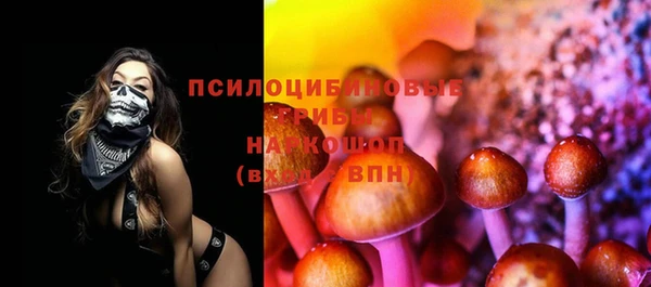 прущие грибы Медвежьегорск