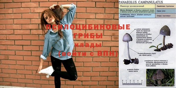 прущая мука Майский