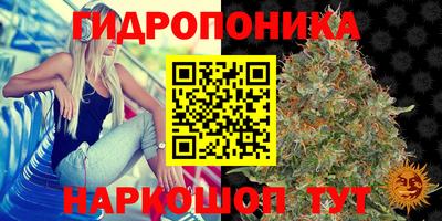 герыч Тула