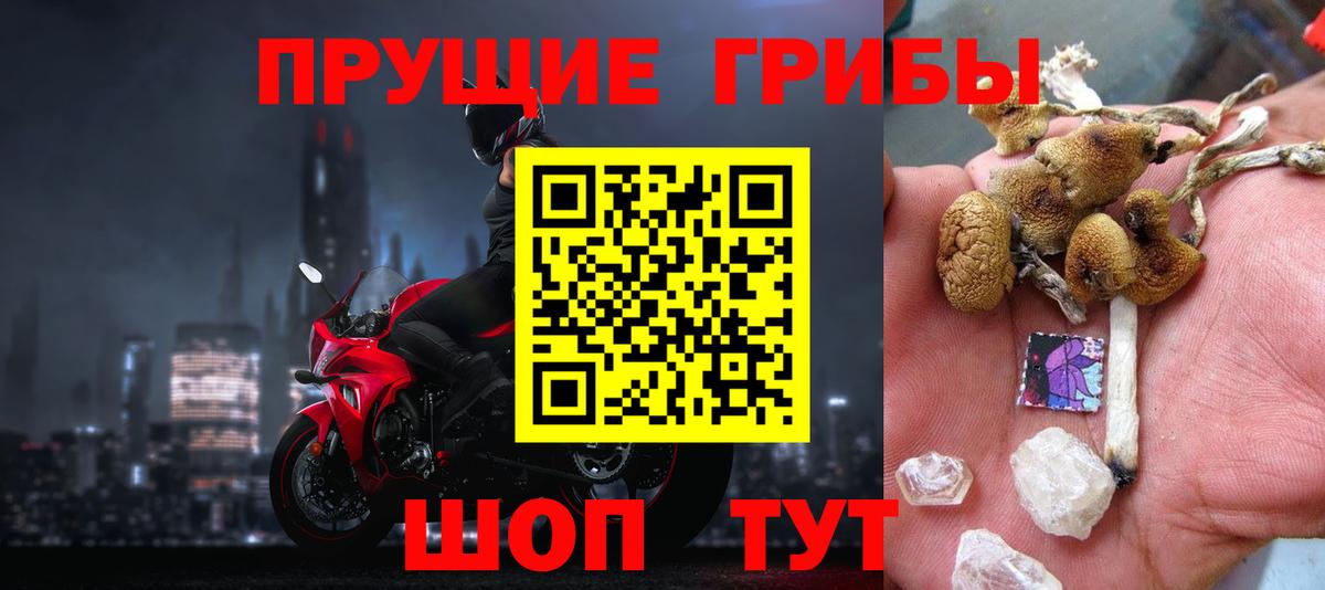 Лосино-Петровский  Псилоцибиновые грибы мицелий  Вход с VPN 